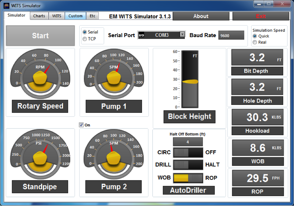 WITS Simulator